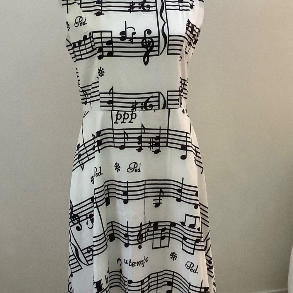 Dress White and Black Music Notes  Music Lovers